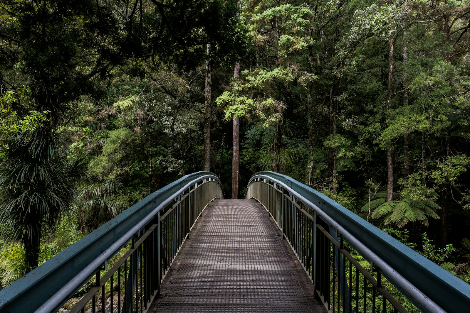 Serene woodland and greenery surrounding the therapeutic retreat